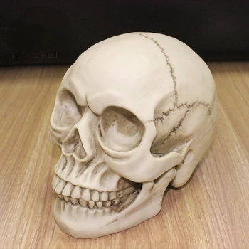 Украшение для Хэллоуина, модель человеческого черепа 1: 1, реквизит для побега из медицинской секретной комнаты, череп из смолы Изображение